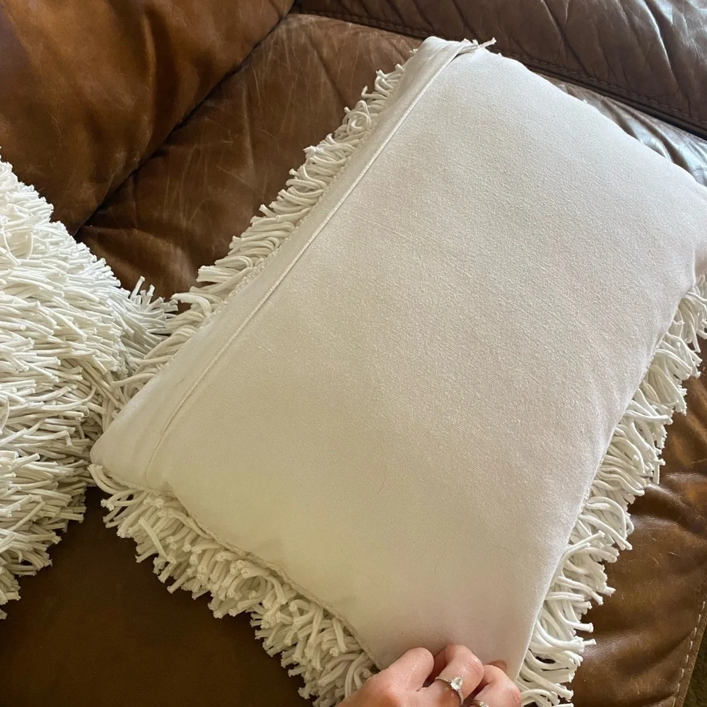 Crate & Barrel Remy Cotton Pillow & Case Cover X2